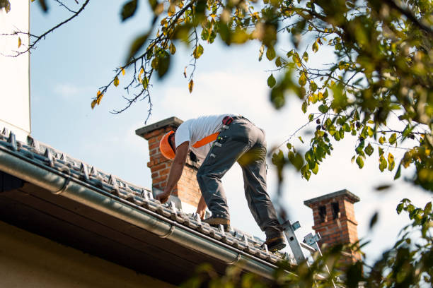 Best Metal Roofing Contractor  in Willacoochee, GA