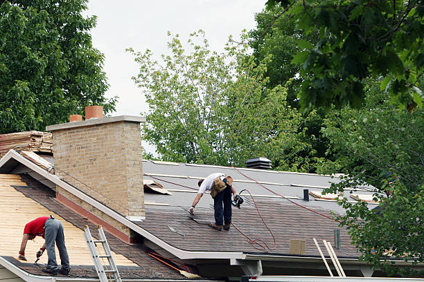 Best Shingle Roofing Installation  in Willacoochee, GA