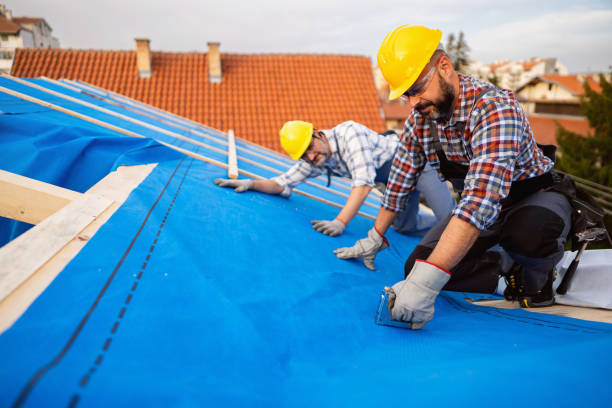 Best Roof Inspection Near Me  in Willacoochee, GA