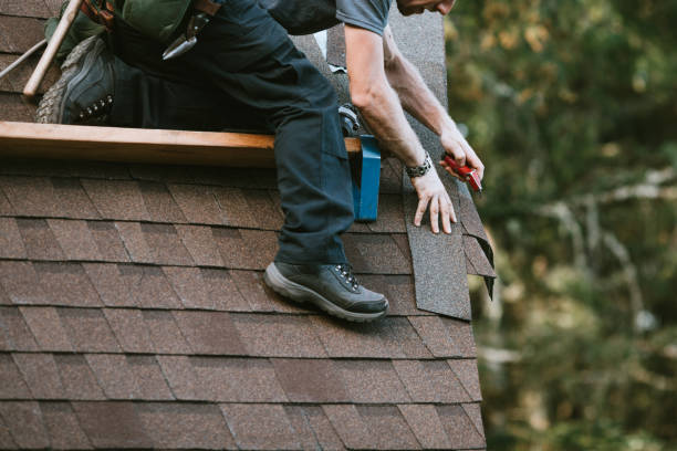 Best Shingle Roofing Installation  in Willacoochee, GA