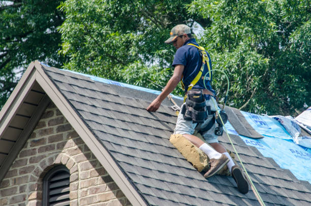 Best Roof Restoration Services  in Willacoochee, GA